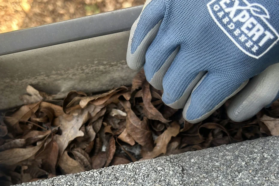 Gutter Cleaning Buda, TX