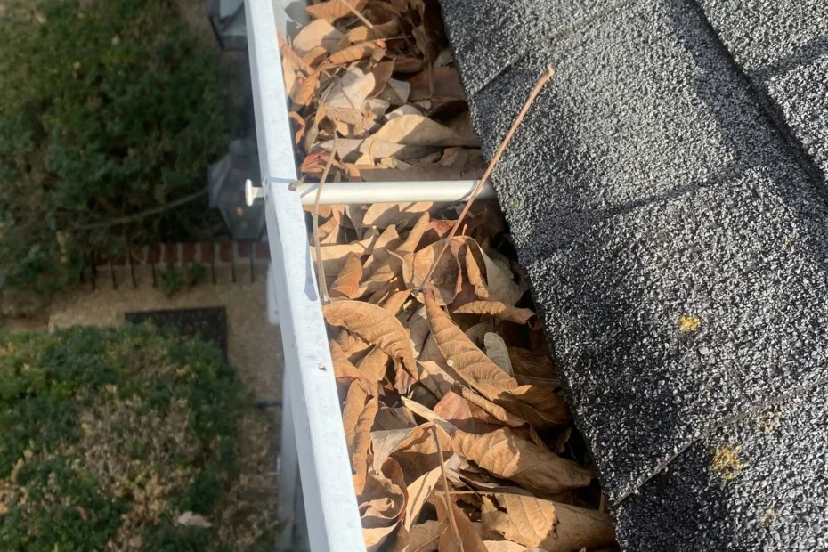 Gutter Cleaning Buda, TX