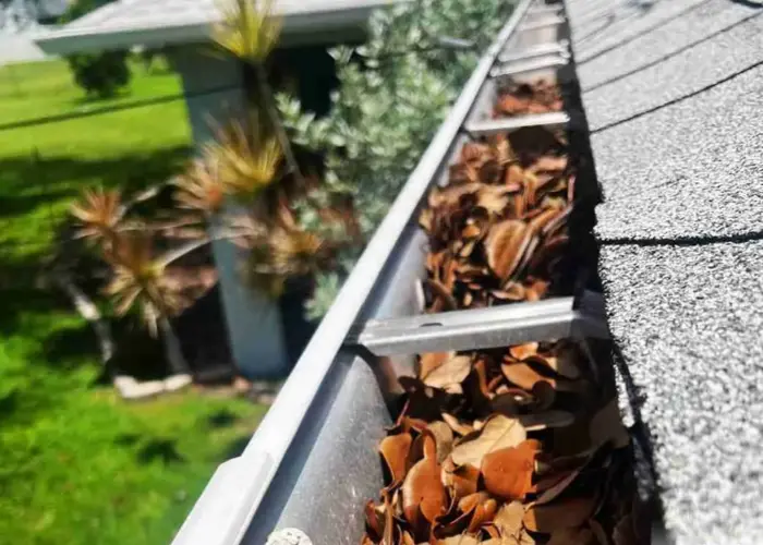 Gutter Cleaning Buda, TX home page